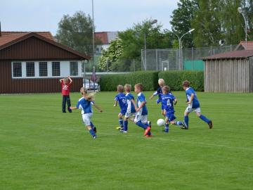 SVG-Ludwigsmoos 08.06 (722)