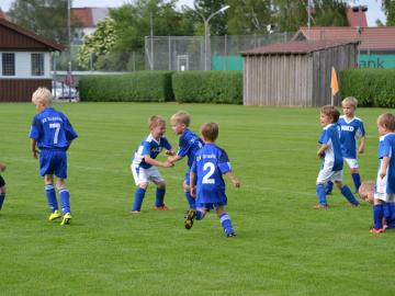 SVG-Ludwigsmoos 08.06 (733)