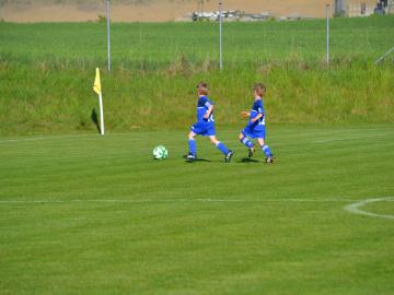 DSC_8651